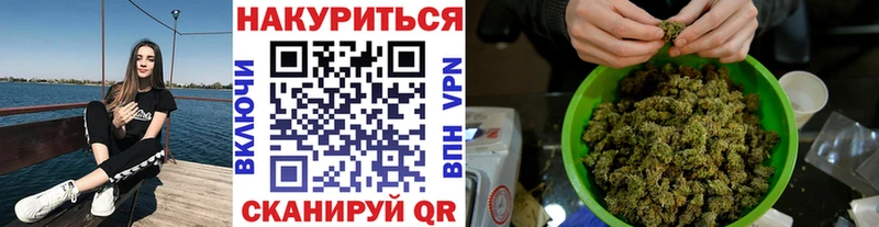 купить  цена  Короча  Конопля планчик 